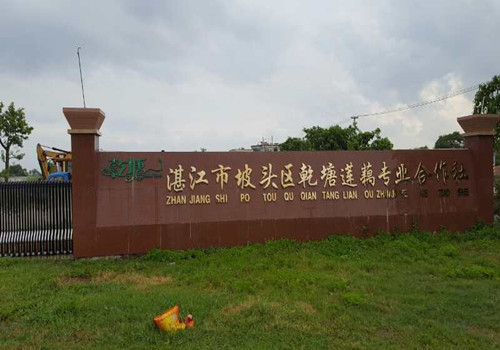 宏胜国际|Home藕粉粉丝粉条出产线已经在昌都莲藕合作社起头工作了