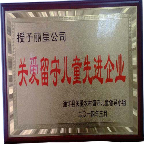 宏胜国际|Home公司留守儿童关爱先进企业