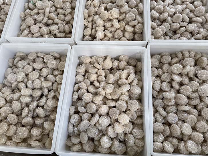 酸辣粉出产线制品