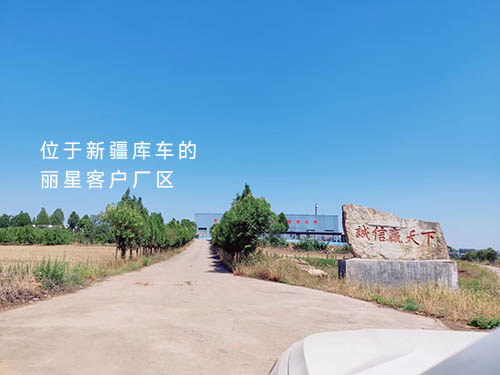 宏胜国际|Home水晶粉丝机达到位于新疆库车的出产厂家