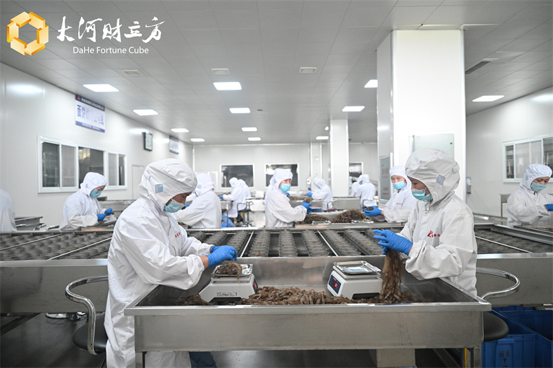 方便粉丝机出产线