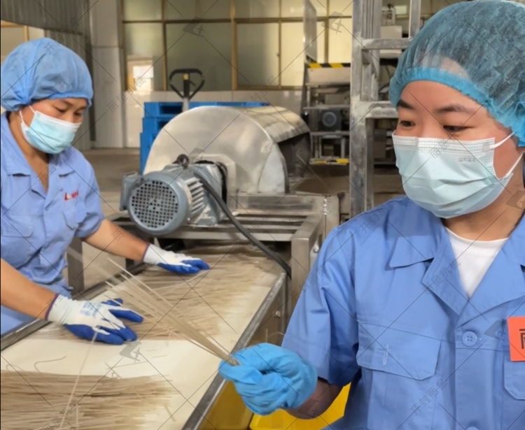 选宏胜国际|Home水晶粉丝粉条出产流水线，节能又环保