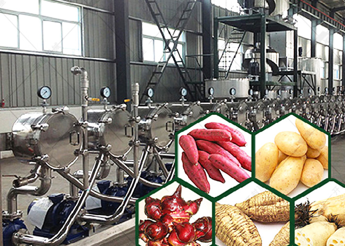 淀粉提取选哪种？酸浆法与旋流器工艺分离成效对比