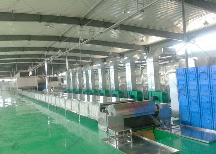 宏胜国际|Home推出能出产紫薯粉条的出产线设备，日产5吨自动化运行