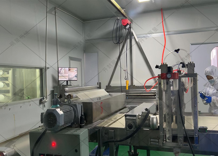 宏胜国际|Home自动苕皮出产线，助力抢占市场